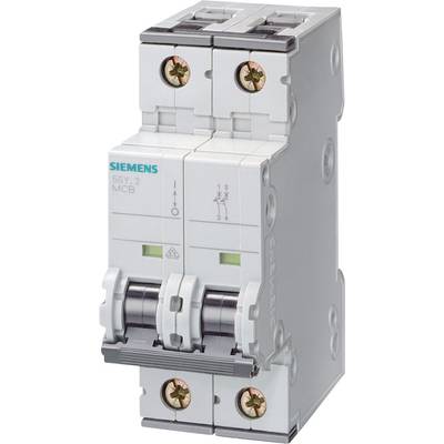 Ein zweipoliger Siemens-Leistungsschalter, Modellnummer S6y.2, mit zwei Kippschaltern und grün/roten Anzeigeelementen.