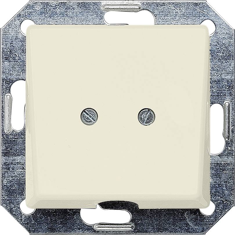 Ein Elektro-Wandschalter mit einem rechteckigen Rahmen und zwei kleinen Öffnungen in der Mitte. Der Schalter ist cremefarben.