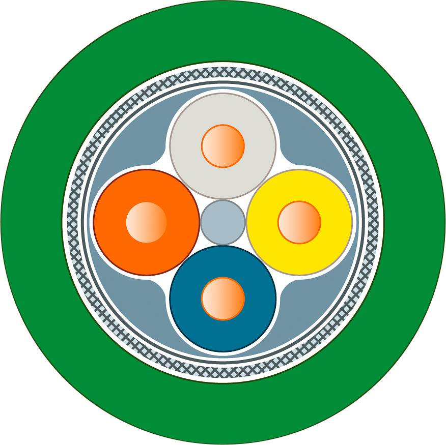 Ein rundes grafisches Element mit vier verschiedenfarbigen Kreisen in der Mitte, umgeben von einem grünen Rand und einem Ziermuster.