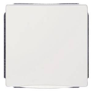 Siemens Schalterprogramm Platin 5UB18431 1 St.