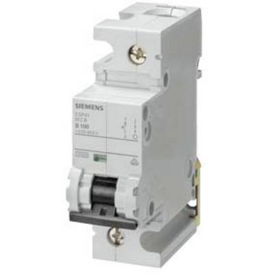 Ein grauer Sicherungsautomaten von Siemens, Modell 5SY41. Enthält Schalter und Schraubanschlüsse.