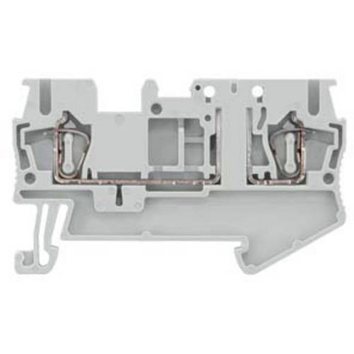 Siemens 8WH20006AF00 Trennklemme 5.2 mm Federzuganschluss Grau 1 St.