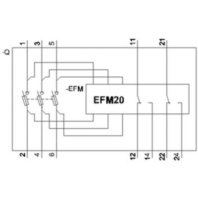'Schaltplan eines EFM20 Moduls mit detaillierten Anschlusspunkten an den Klemmen 1 bis 24, einschließlich interner Widerstandsverbindungen.'