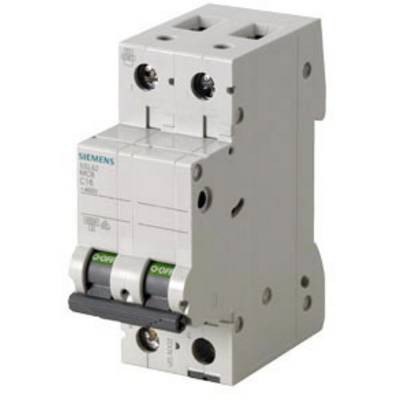 Ein zweipoliger Leitungsschutzschalter, Modell Siemens 5SL6, mit grünen 'ON'/'OFF'-Stellungen auf der Vorderseite.