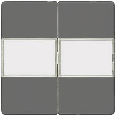 Siemens Schalterprogramm 2fach  Beschriftungsfeld  Carbon 5TG6232 1 St.