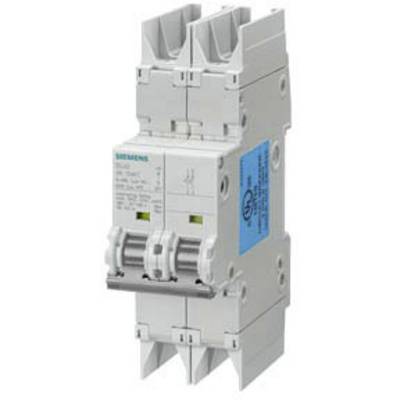 Ein zweipoliger Leitungsschutzschalter von Siemens. Weißes Gehäuse mit blauen und grünen Markierungen. Teil eines elektrischen Schaltkreises.