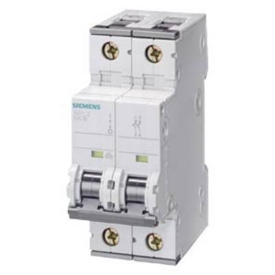 Doppelter sicherungsautomat mit Siemens-Logo, graue Gehäusefarbe, zwei Kippschalter und drei Schraubbefestigungen sichtbar.