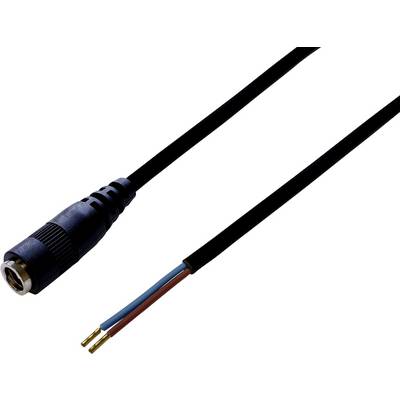 Audio-Kabel mit einem Klinkenstecker auf der einen Seite und offenen Kabelenden auf der anderen Seite zum Löten oder Anschließen.