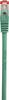 Renkforce RF-5228502 RJ45 Patchkabel CAT 6 S/FTP 0.25 m Grün mit Rastnasenschutz, vergoldete Steckkontakte, Flammwidrig 1 St.