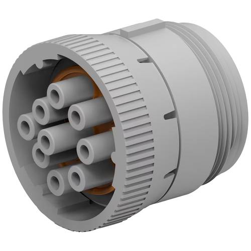 TE Connectivity HD16-9-96S Rundsteckverbinder Buchse Gesamtpolzahl: 47 1 St.