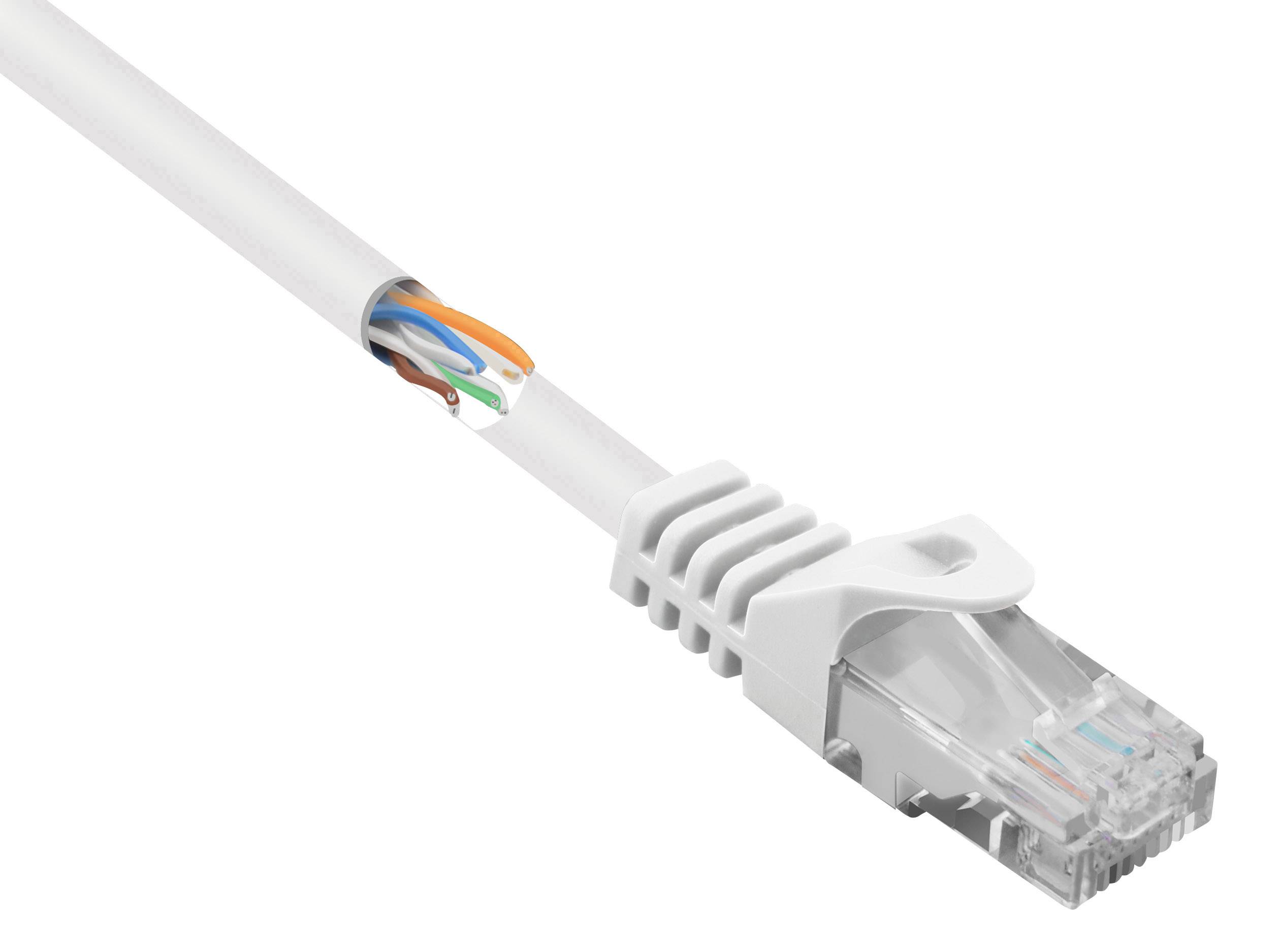 Renkforce RF-5043780 RJ45 Netzwerkkabel, Patchkabel CAT 5e U/UTP 2.00 m Weiß mit Rastnasenschutz 1 St.