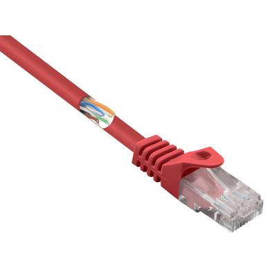 Rotes Ethernet-Kabel mit transparentem Stecker, seitlich ein Aufkleber mit grafischem Muster. Verbindet Geräte im Netzwerk.