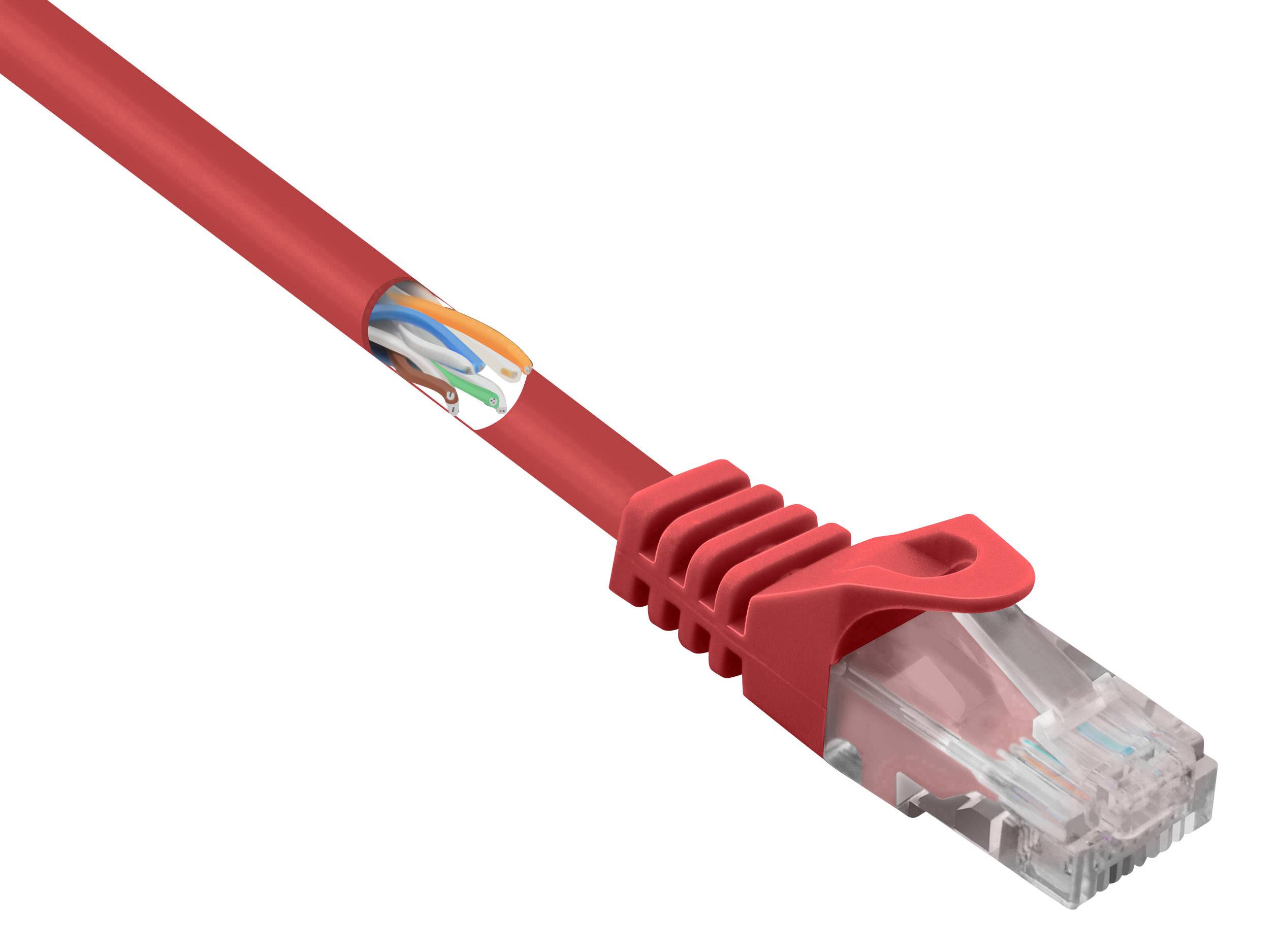 CONRAD Renkforce RF-5043782 RJ45 Netzwerkkabel, Patchkabel CAT 5e U/UTP 5.00 m Rot mit Rastnasenschu