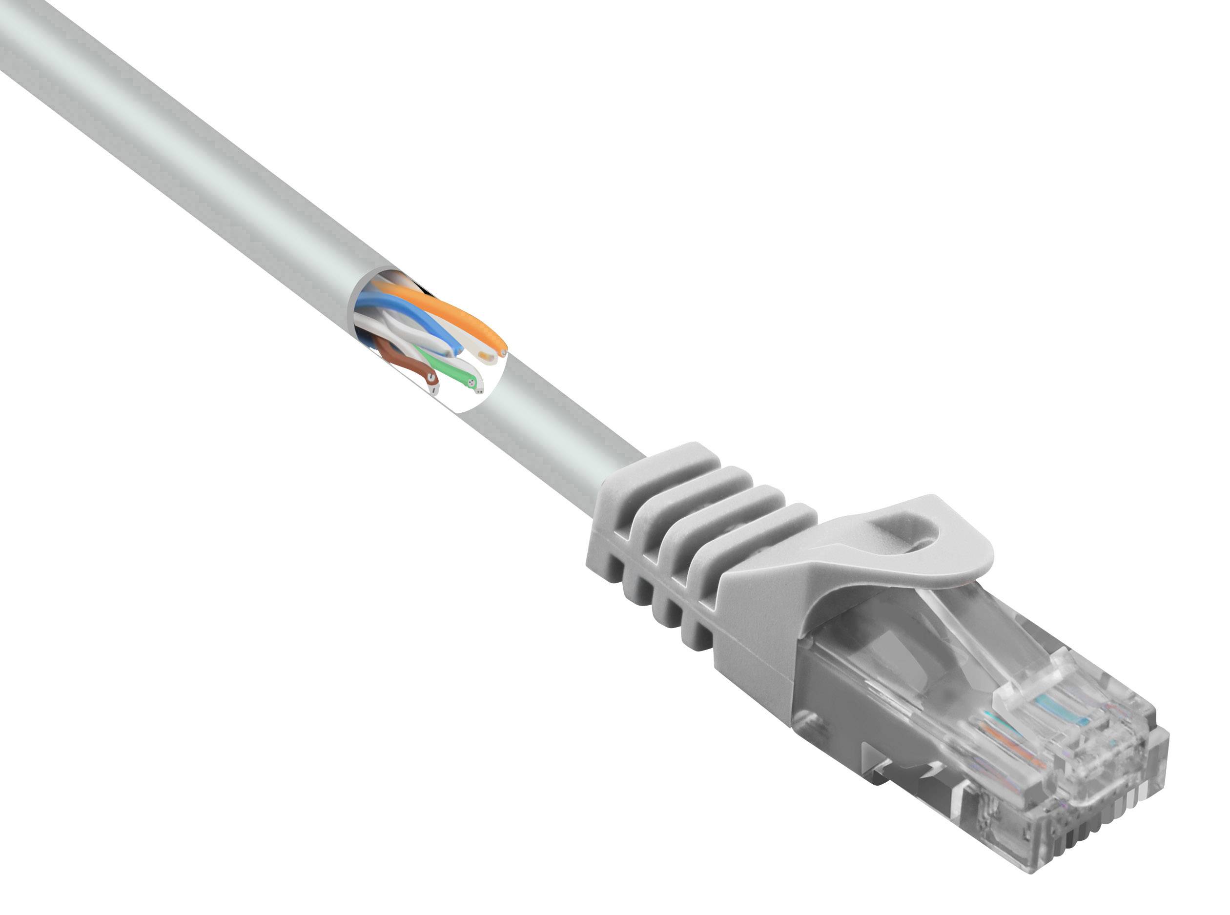 CONRAD Renkforce RF-5047508 RJ45 Netzwerkkabel, Patchkabel CAT 5e U/UTP 0.50 m Grau mit Rastnasensch