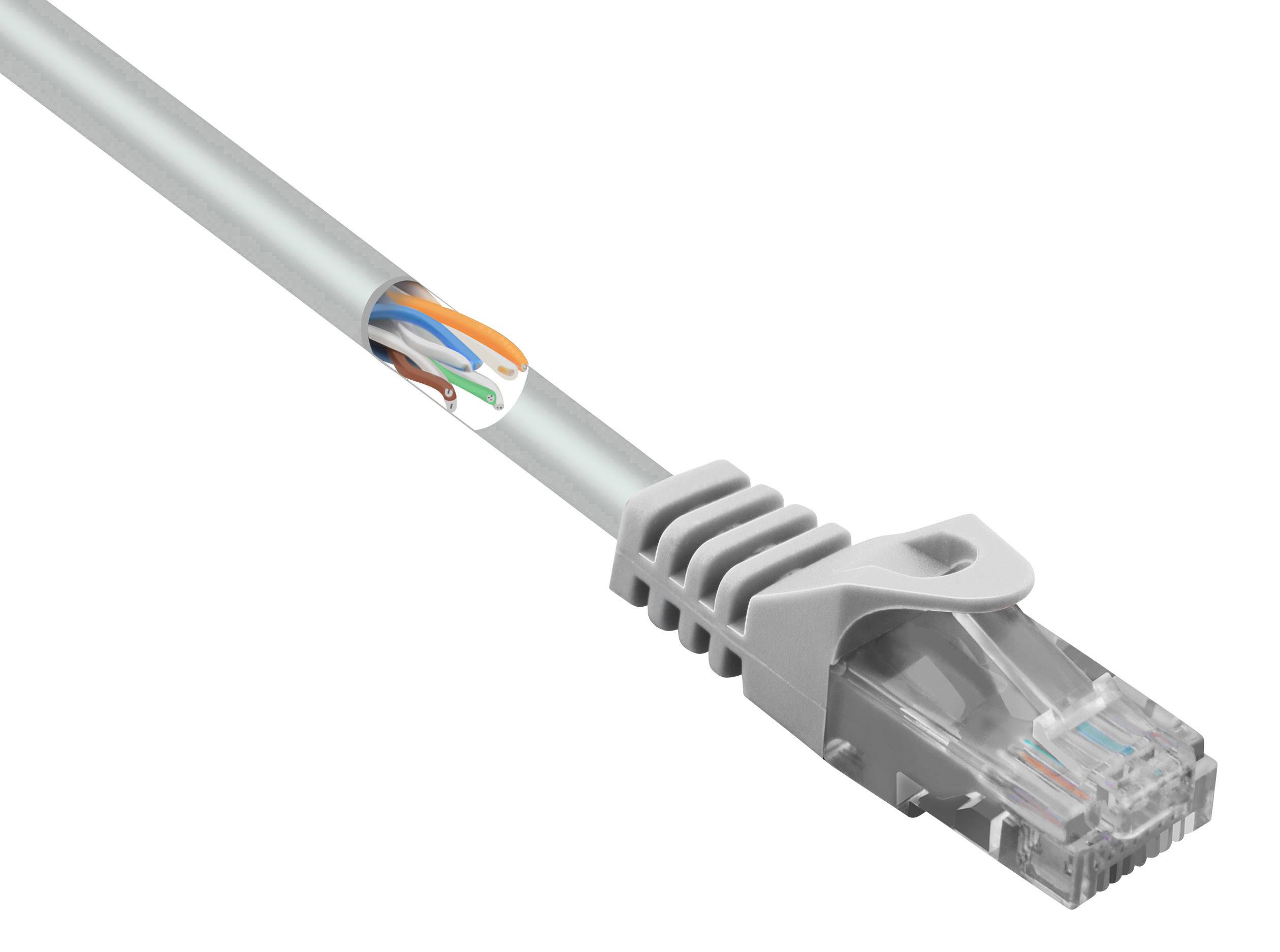 CONRAD Renkforce RF-5047504 RJ45 Netzwerkkabel, Patchkabel CAT 5e U/UTP 1.00 m Grau mit Rastnasensch