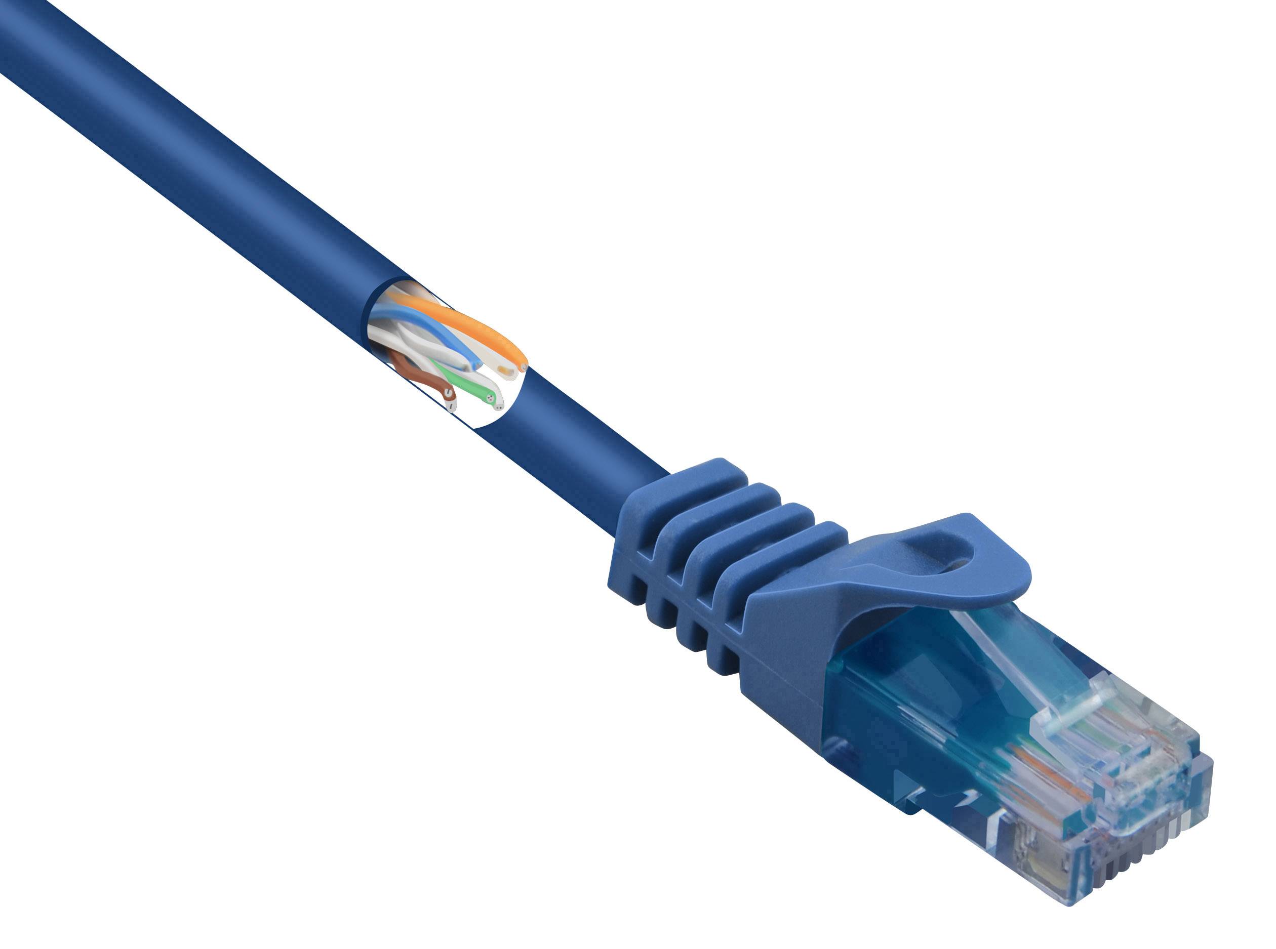 Renkforce RF-5044020 RJ45 Netzwerkkabel, Patchkabel CAT 5e U/UTP 3.00 m Blau mit Rastnasenschutz, Halogenfrei 1 St.