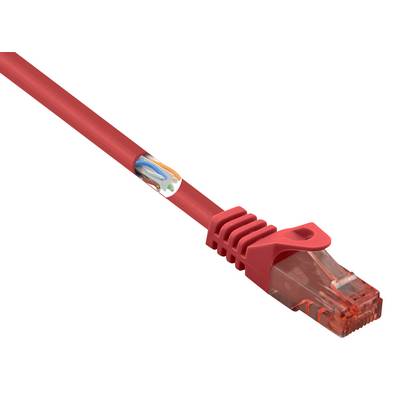 Ein rotes Ethernet-Kabel mit einem RJ45-Stecker, geeignet für Netzwerkverbindungen. Links ist eine Grafik der inneren Kabelstruktur.