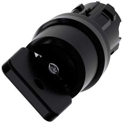 Schwarzes zylindrisches Schlüsselschloss, Hauptbestandteil eines Verriegelungssystems.