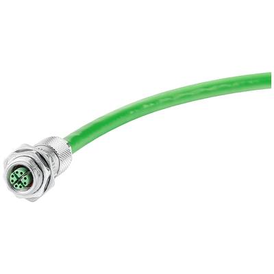 Ein grünes Kabel mit einem silbernen, runden Stecker zeigt vier grüne Buchsen in einer quadratischen Anordnung.