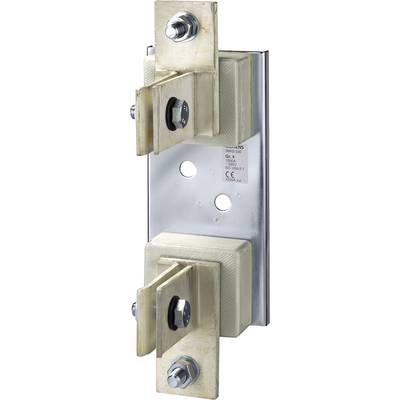 Klemmkasten, metallisch, mit zwei vertikal ausgerichteten, geklemmten Leitungen und sichtbaren Schrauben zur Fixierung.