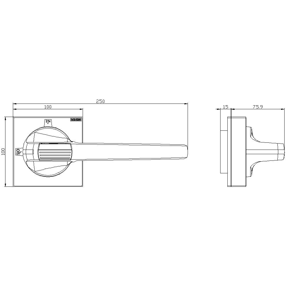 Technische Zeichnung eines Türdrückers mit Maßen: Länge 250 mm, Rosettendurchmesser 100 mm, Ansichten von oben und der Seite.