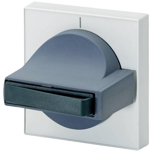 Siemens 8UC7110-1BB 8UC71101BB Handhabe Grau, Hellgrau 1 St.