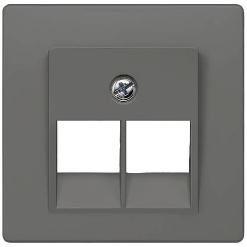 Siemens Schalterprogramm Carbon 5TG1231 1 St.