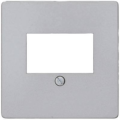 Silberner, quadratischer Metallrahmen mit zentralem rechteckigem Ausschnitt und Schraube unten.