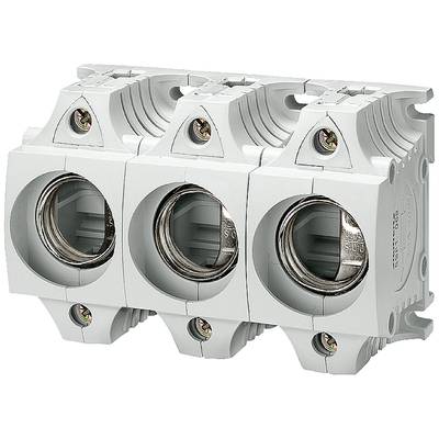 Siemens 5SF5268 Diazed-Sicherungssockel Sicherungsgröße = DIII 63 A 500 V/AC 1 St.