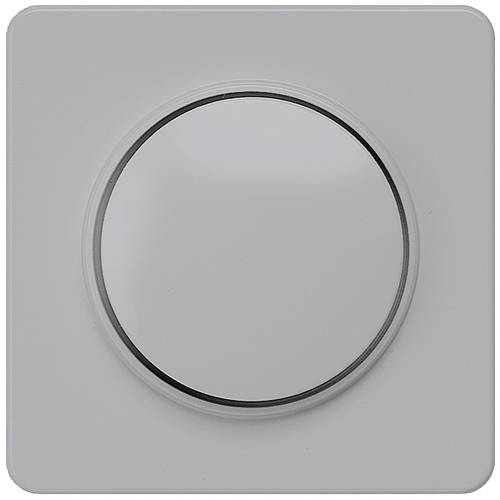 Siemens Schalterprogramm Silber 5TC8906 1 St.