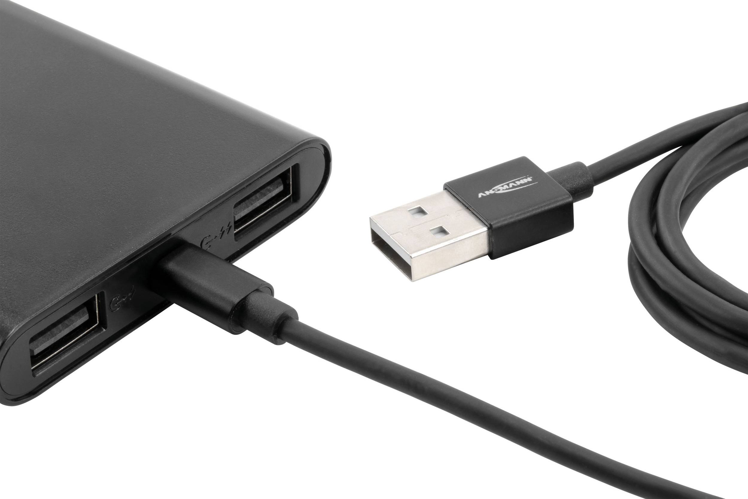 Ein schwarzes USB-Kabel ist in eine Powerbank mit zwei USB-Anschlüssen eingesteckt.