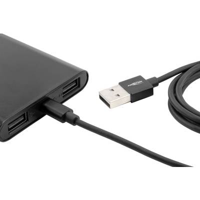 Ein schwarzes USB-Kabel ist in eine Powerbank mit zwei USB-Anschlüssen eingesteckt.