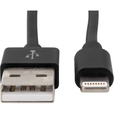 Zwei Kabelanschlüsse: Ein USB-A auf der linken Seite und ein Lightning-Anschluss auf der rechten Seite. Beide sind schwarz.