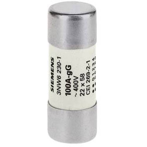 Siemens 3NW62301 Zylindersicherungseinsatz 100 A 500 V 10 St.