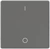 Siemens Schalterprogramm 1fach Carbon 5TG6222 1 St.