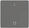 Grauer Lichtschalter mit weißem 'I' Symbol und Kreis unten.
