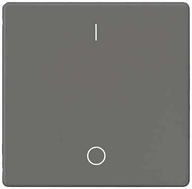 Siemens Schalterprogramm 1fach    Carbon 5TG6222 1 St.
