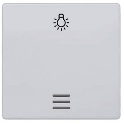 Siemens Schalterprogramm 1fach Aluminium 5TG6246 1 St.