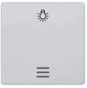 Siemens Schalterprogramm 1fach Aluminium 5TG6246 1 St.