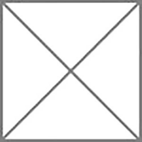 Siemens 5ST2135 Winkelprofil 5 St.