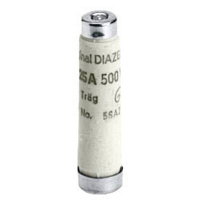 Sicherungseinsatz mit der Aufschrift '25A 500V'. Der Körper ist zylindrisch und die Enden sind metallisch.