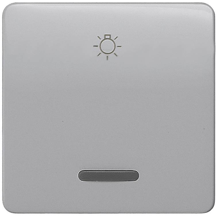 Siemens Schalterprogramm 1fach Silber 5TG7926 1 St.