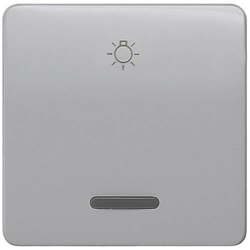 Siemens Schalterprogramm 1fach Silber 5TG7926 1 St.