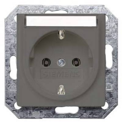 Graue Steckdose von Siemens Delta mit rundem Design, zwei Schlitzen und Schutzkontakt. Montiert auf einer quadratischen Metallplatte.
