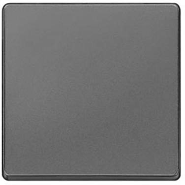 Siemens Schalterprogramm 1fach  Wippe  Carbon 5TG6221 1 St.