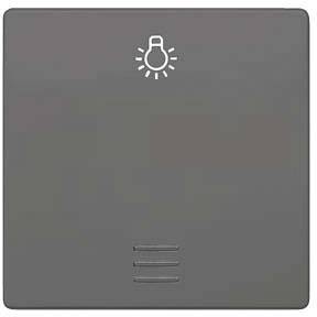 Ein grauer Lichtschalter mit einer Glühbirnen-Symbolgrafik oben, die andeutet, dass er für die Lichtsteuerung verwendet wird.