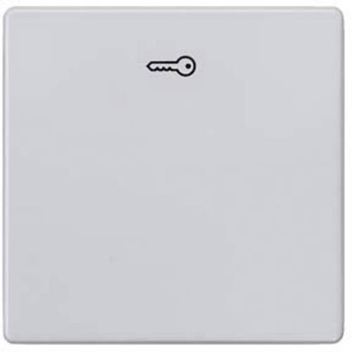 Siemens Schalterprogramm 1fach Aluminium 5TG6248 1 St.