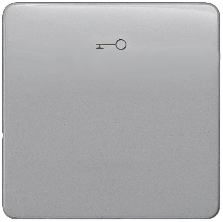 Siemens Schalterprogramm 1fach Silber 5TG7928 1 St.