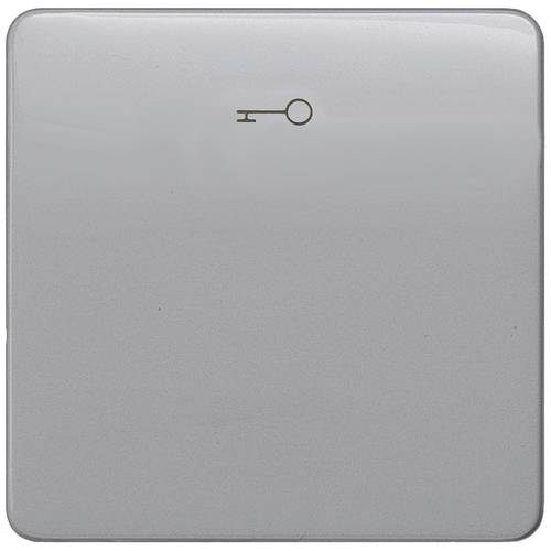 Siemens Schalterprogramm 1fach Silber 5TG7928 1 St.