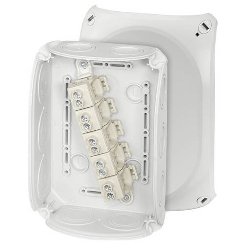 Hensel 62000010 Abzweigkasten (L x B x H) 77 x 180 x 130 mm Lichtgrau (RAL 7035) IP66 (Frontplattendichtung) 1 St.